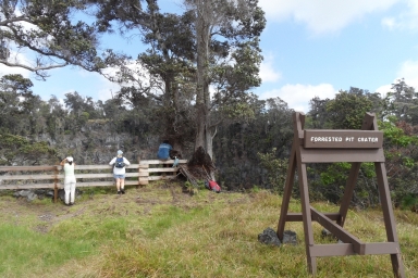 Forested Pit Crater Loop at Kahuku unit of HVNP-July 20, 2024- RSVP